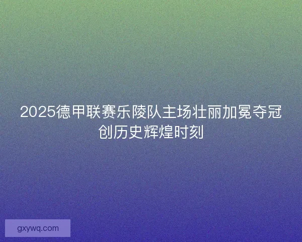 2025德甲联赛乐陵队主场壮丽加冕夺冠创历史辉煌时刻