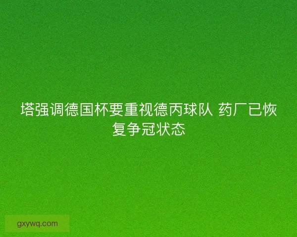 塔强调德国杯要重视德丙球队 药厂已恢复争冠状态