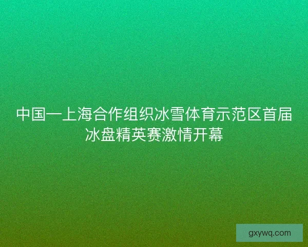中国—上海合作组织冰雪体育示范区首届冰盘精英赛激情开幕 中国—上海合作组织冰雪体育示范区首届冰盘精英赛激情开幕